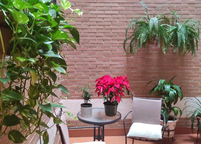 Casa Afan Granada